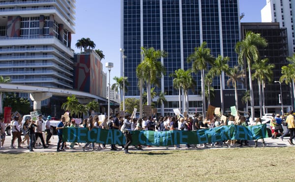 Week in Review: Climate Strike During Art Basel Miami Beach; Harvard Students Protest Sackler Museum