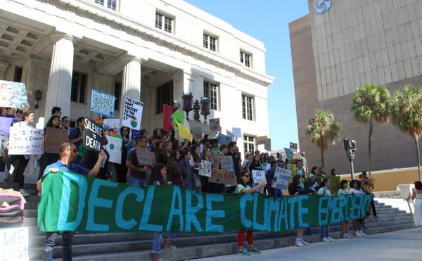 During Art Basel Miami Beach, Young Climate Strikers Urge the Art World to Pay Attention