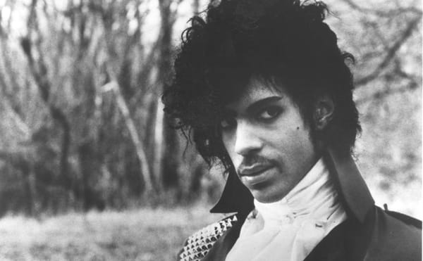 Purple Rain and She’s Gotta Have It Among 2019 Picks for National Film Registry