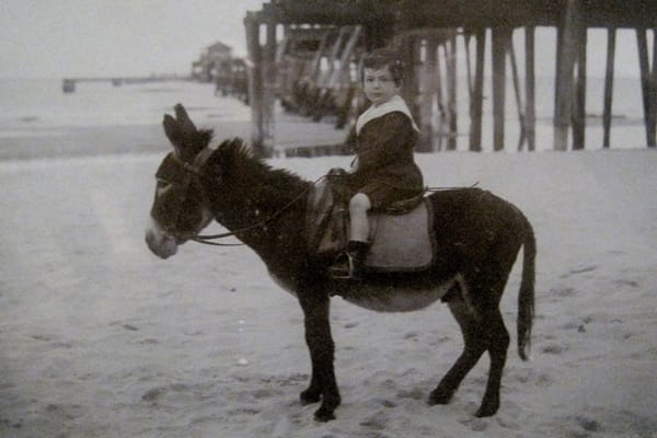 Apply to SVA’s MFA in Art Writing for Fall 2020