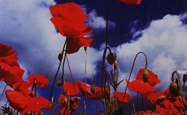 Wondrous Animations Made of Quilts, Glass, and Found Objects