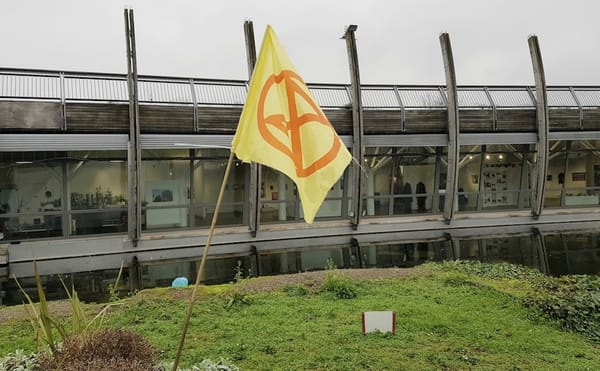 Artists, Designers, and Activists Address Climate Breakdown in a Pop-Up Exhibition