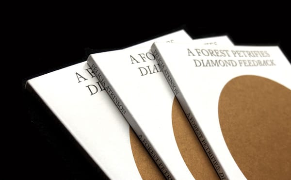 A Musician’s Fictional, Indistinct Futures Take the Shape of a Novel