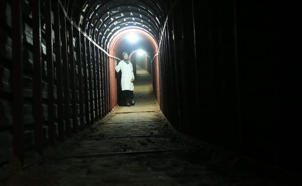 An Oscar Nominee May Be Unable to Attend the Ceremony Due to Trump's Travel Ban