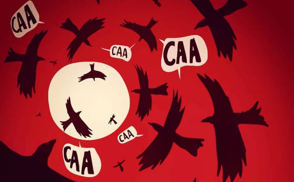 In India, a Wave of Political Webcomics Are Chronicling Huge Nationwide Protests