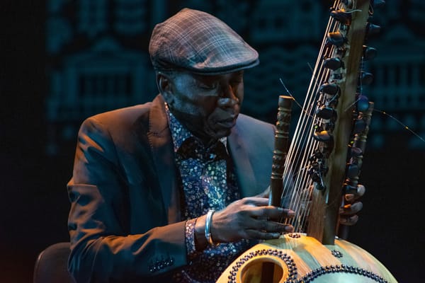 Musician Ballaké Sissoko Says His Custom-Made Instrument Was Broken by TSA Security
