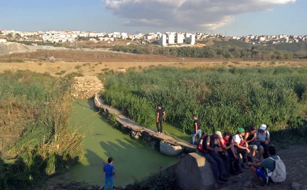 The Artist Walking Between Two Seas in Istanbul
