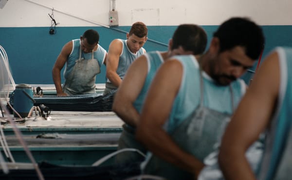 Highlighting the Many Forms and Facets of Latin American Cinema