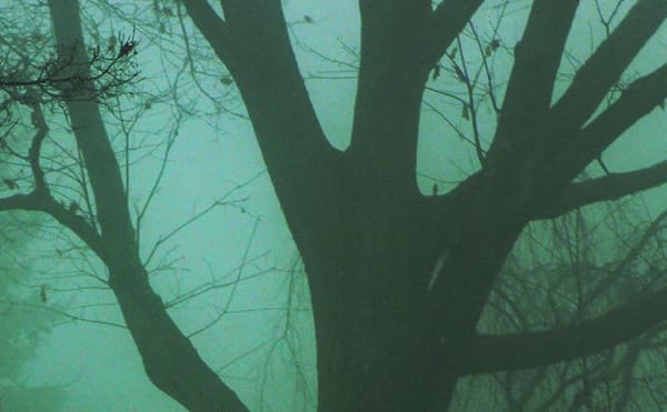 An Evolution of Style in Three Poets