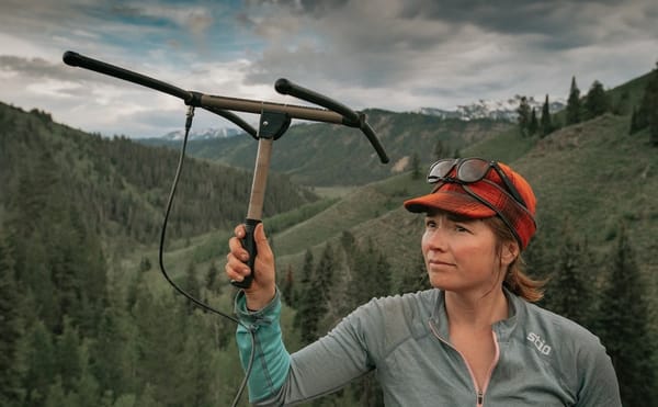 Amidst the COVID-19 Pandemic, Film Festivals Move Online