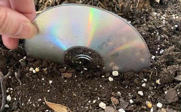 Museum of the Bible Reveals Newly Discovered Audio Recording of the Sermon on the Mount