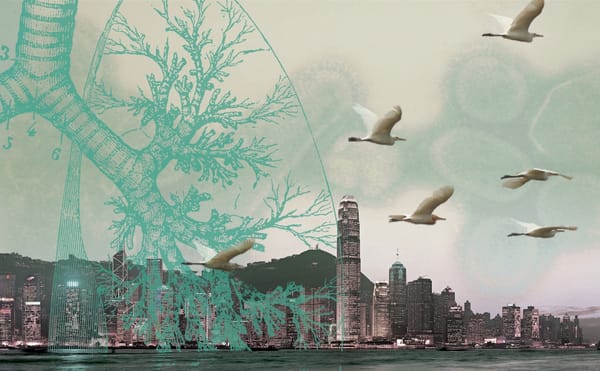 Books About Pandemic and Contagion Free Online via Duke University Press