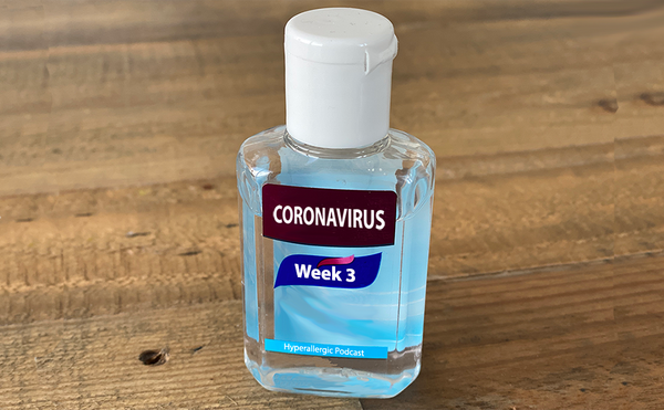 Hyperallergic Discusses Pandemic’s Effects on Museums and Art Schools