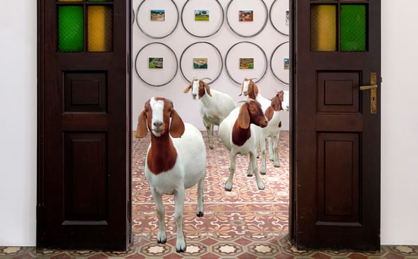 Finding Humor in Crisis, Gallery Photoshops Wild Animals in Its Closed Exhibition