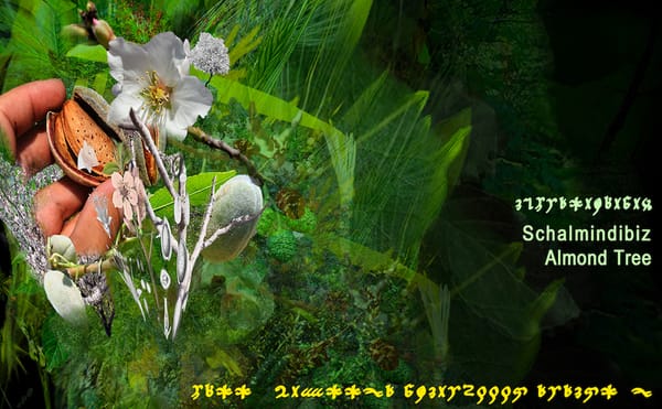 Artists, Writers, Musicians, and More Explore the Intersections of Art and Ecology