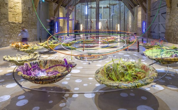 Beer With a Painter: Judy Pfaff