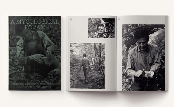 John Cage, Forager of Music and Mushrooms