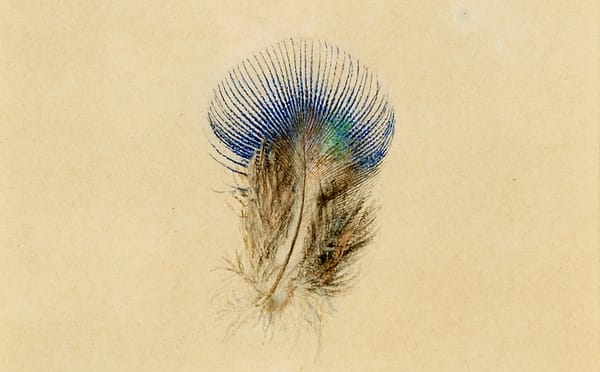 The Crafting of an Art Critic