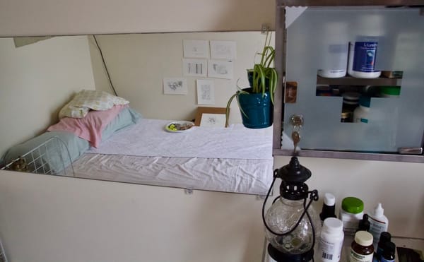 A View From the Easel During Times of Quarantine