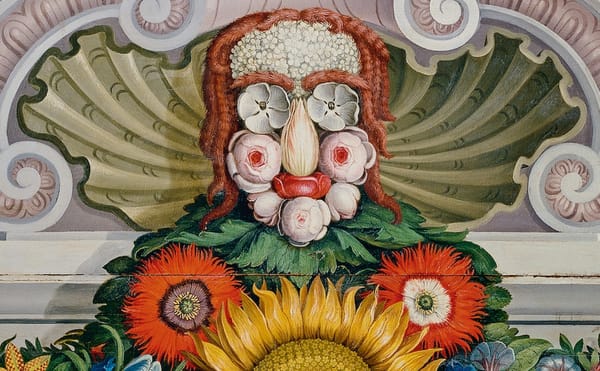 The Lives of the Art Museum