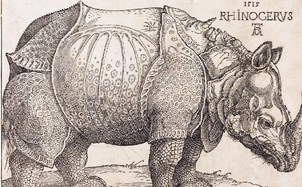 Assessing My Critical Adjustments and Changing Perspectives