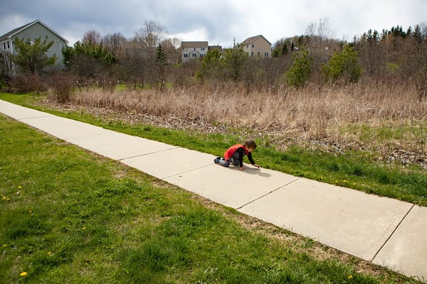 Vermont College of Fine Arts Exhibitions Foreground Adaptability Amid the Unexpected