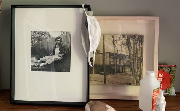 Artists Quarantine With Their Art Collections