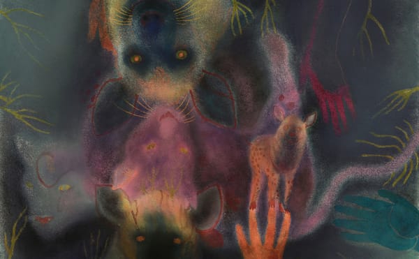 Jan Harrison's Dream Animals