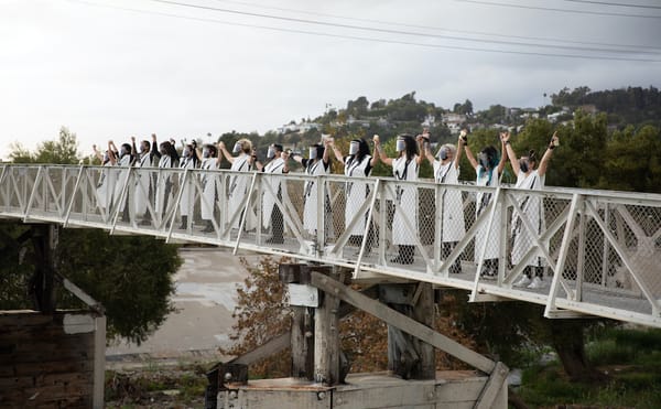 “We Are the Rifles Our Ancestors Didn’t Have”: Female Collective Protests for Armenians