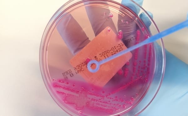 Where Does the Idea of a Disinformation "Infodemic" Originate?