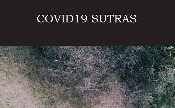 Poetry in the Time of a Pandemic