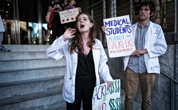 NYU to Remove Sackler Name Following Pressure From Students and Artist-led Group, P.A.I.N.