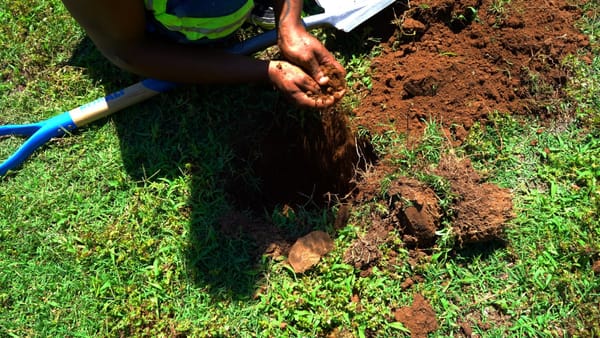 Kiyan Williams Digs Into the Meaning of Soil