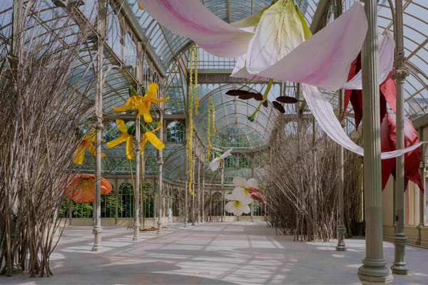 Whimsical, Giant Nests Take Root in Reina Sofia’s Crystal Palace