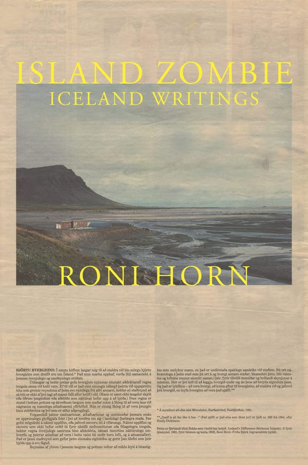 Roni Horn’s Memories and Meditations About Weather