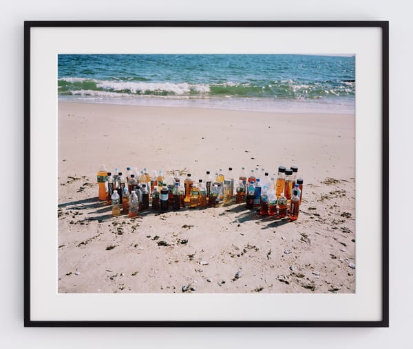 Poking Holes in the Veneer of Our Social Media Selves