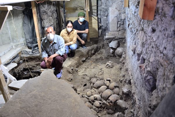 119 Human Skulls Unearthed in 15th-century Aztec Shrine