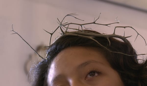 Mexican Filmmakers Are Documenting Indigenous Resistance and Feminist Issues