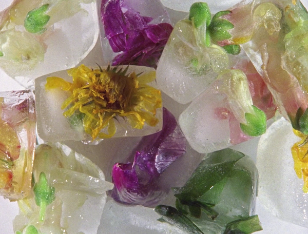 Animated Shorts About the Magic of the Everyday World