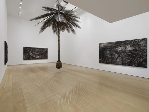 Teresita Fernández Depicts Caribbean Colonialism and Eco-Trauma