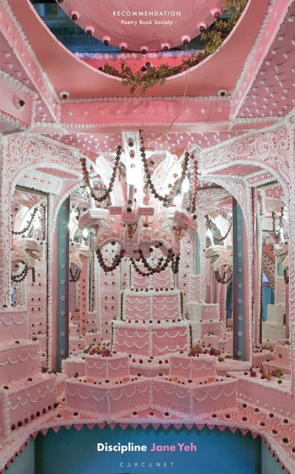 This Be the Verse: Our Favorite Poetry Books of 2020