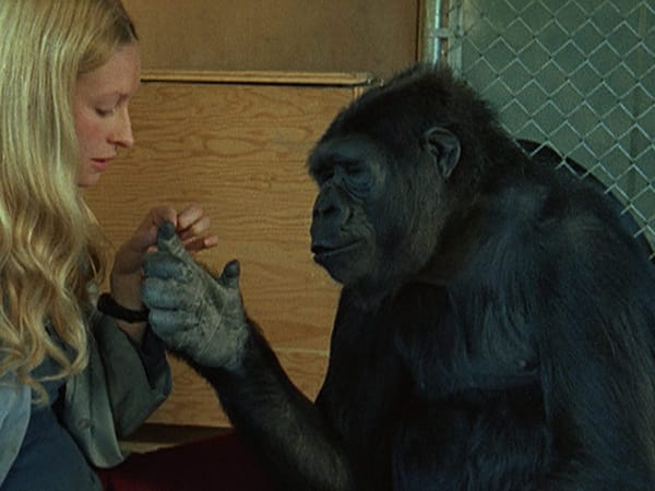 Enlightening Documentaries About Language