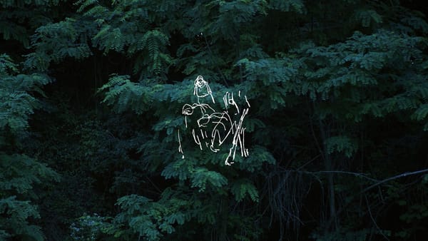 Interrogating the Past and Examining Resistance at the International Film Festival Rotterdam