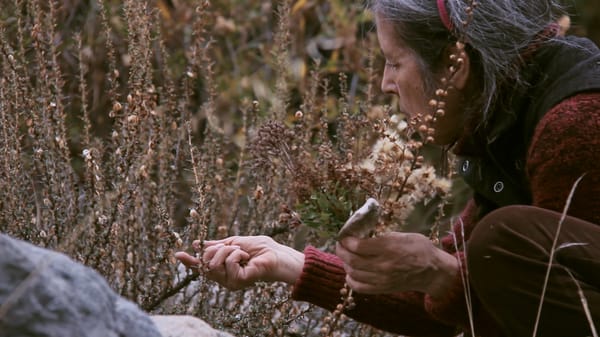 SAAM Highlights Cecilia Vicuña, Coco Fusco, and Mariam Ghani at Third Women Filmmakers Festival