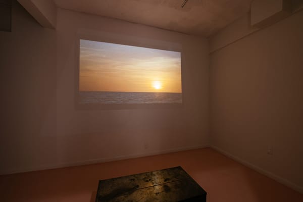 Channeling the Rhythms of Nature, Sasha Wortzel Sets the Mood for Contemplation