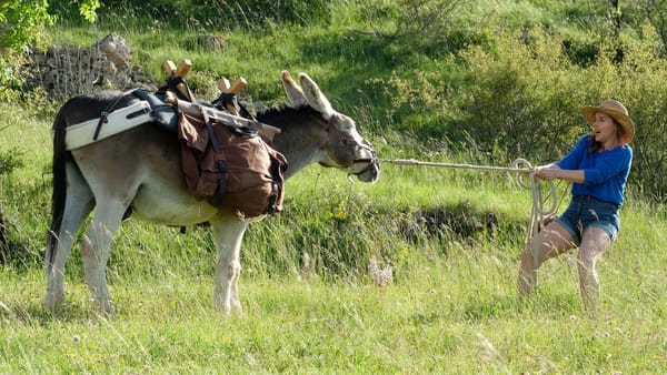 The Latest French Films, From Trans Stories to a Travelogue With a Donkey