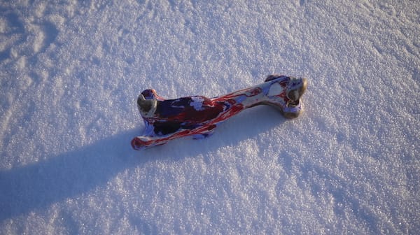 Art That Goes With the Floe