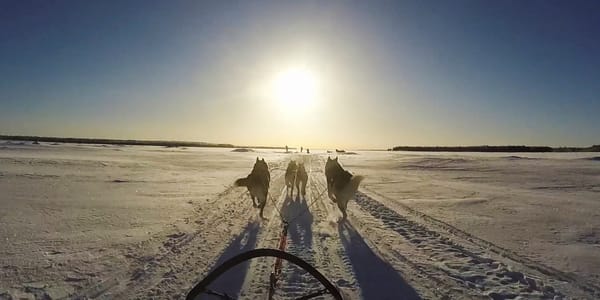 Winners of apexart 2021–22 International Open Call Announced