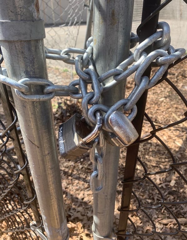Bronx Artists Collaborated to Refurbish Community Park Until the City Locked Them Out