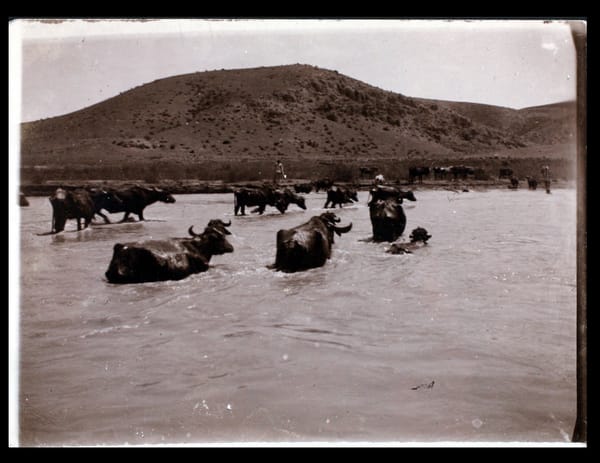 SALT Presents Climavore: Seasons Made to Drift by Cooking Sections